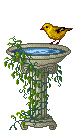blue bird sitting at a bird bath